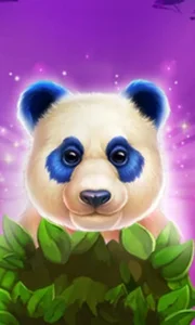 Luck Of Panda Bonus Combo